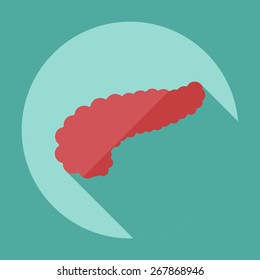 Flat modern design with shadow icons pancreas