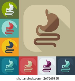 Flat modern design with shadow icons stomach