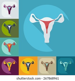Flat modern design with shadow icons uterus