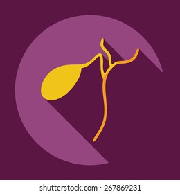 Flat modern design with shadow icons spleen
