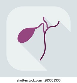 Flat modern design with shadow icons spleen