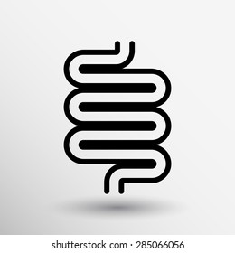 Flat modern design with shadow icons large intestine.