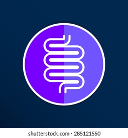 Flat modern design with shadow icons large intestine.