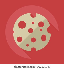 Flat modern design with shadow icons cheese
