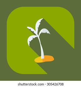 Flat modern design with shadow icons palm