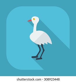 Flat modern design with shadow icons ostrich