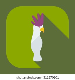 Flat modern design with shadow icons parrot