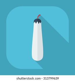 Flat modern design with shadow icons squash
