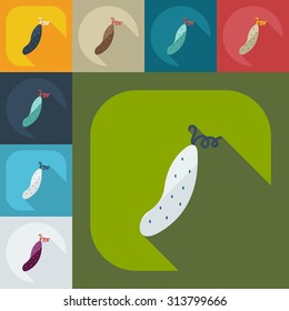Flat modern design with shadow icons cucumber
