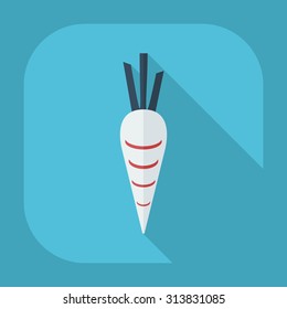 Flat modern design with shadow icons carrot