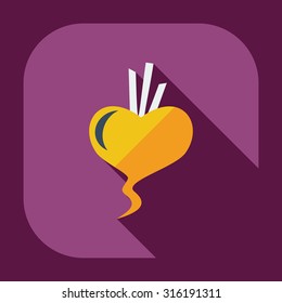 Flat modern design with shadow icons beet