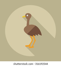 Flat modern design with shadow icons ostrich
