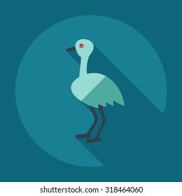 Flat modern design with shadow icons ostrich