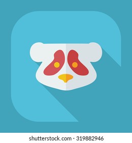 Flat modern design with shadow icons pandas