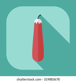 Flat modern design with shadow icons squash