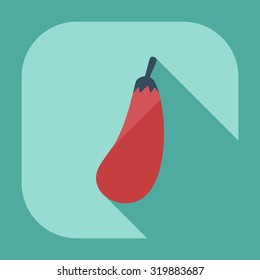 Flat modern design with shadow icons eggplant
