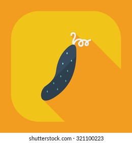 Flat modern design with shadow icons cucumber