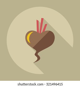 Flat modern design with shadow icons beet