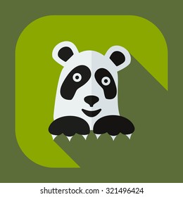 Flat modern design with shadow icons pandas
