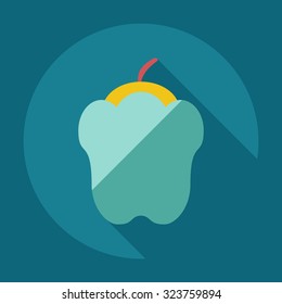 Flat modern design with shadow icons pepper
