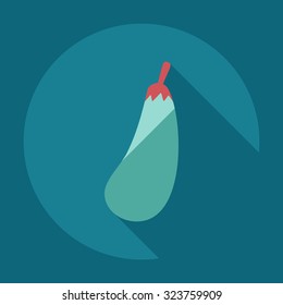 Flat modern design with shadow icons eggplant