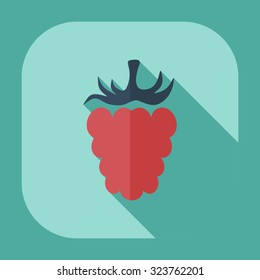 Flat modern design with shadow icons raspberries