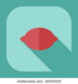 Flat modern design with shadow icons lemon
