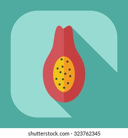 Flat modern design with shadow icons avocado