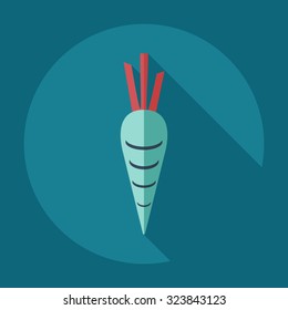 Flat modern design with shadow icons carrot