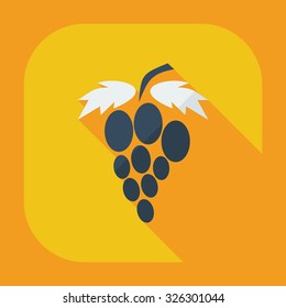 Flat modern design with shadow icons grapes