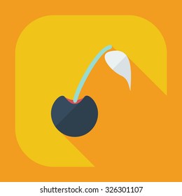 Flat modern design with shadow icons cherries