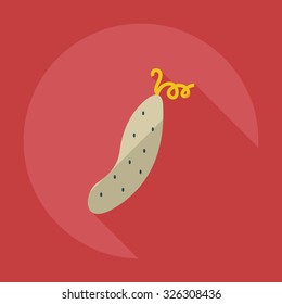 Flat modern design with shadow icons cucumber