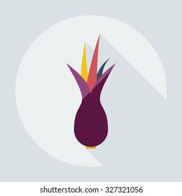 Flat modern design with shadow icons onion