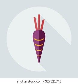 Flat modern design with shadow icons carrot