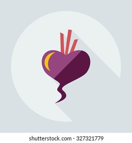 Flat modern design with shadow icons beet