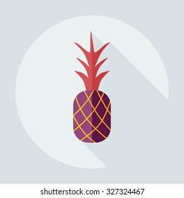 Flat modern design with shadow icons pineapple