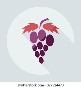 Flat modern design with shadow icons grapes