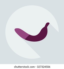 Flat modern design with shadow icons banana