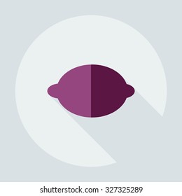 Flat modern design with shadow icons lemon