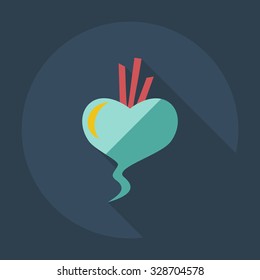 Flat modern design with shadow icons beet