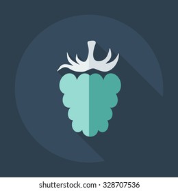 Flat modern design with shadow icons raspberries