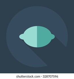 Flat modern design with shadow icons lemon