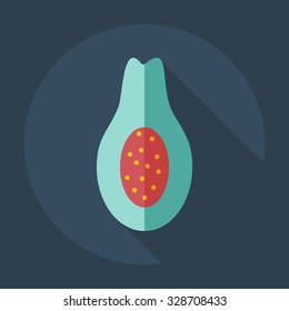 Flat modern design with shadow icons avocado