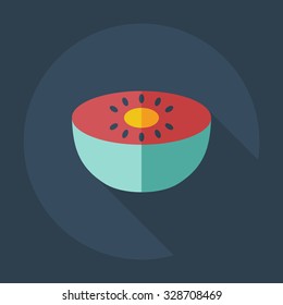 Flat modern design with shadow icons melon