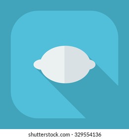 Flat modern design with shadow icons lemon