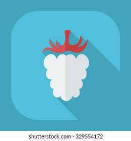 Flat modern design with shadow icons raspberries