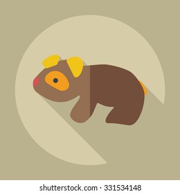 Flat modern design with shadow icons pandas