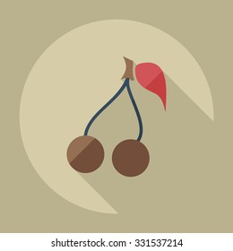 Flat modern design with shadow icons cherry