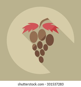 Flat modern design with shadow icons grapes