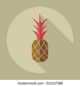 Flat modern design with shadow icons pineapple